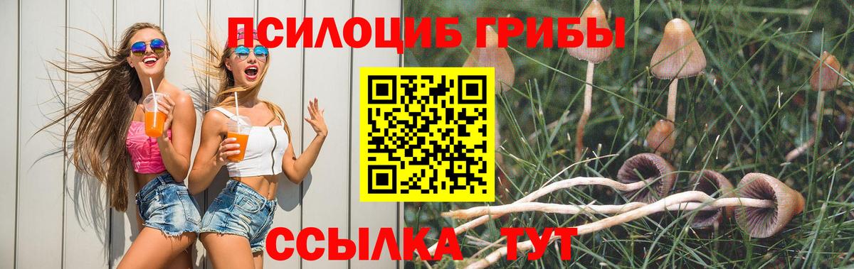 Псилоцибиновые грибы Psilocybe Лабинск