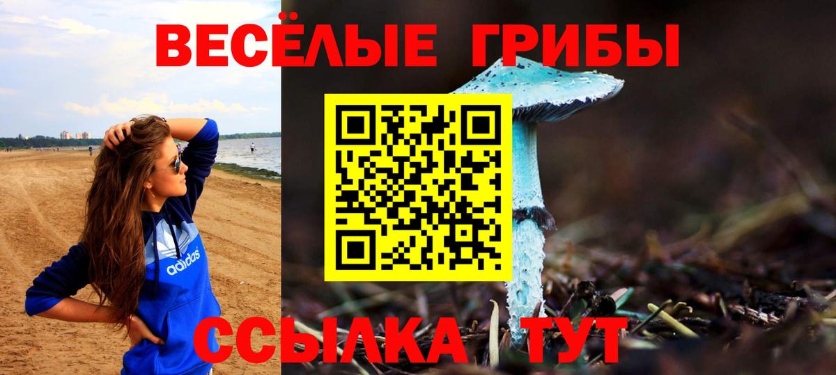 Лабинск  Галлюциногенные грибы мицелий  Вход с VPN 